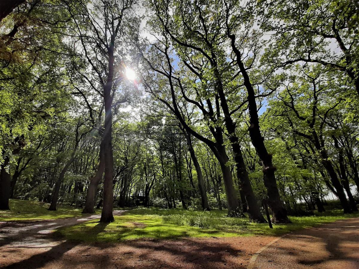 Domki Ajna Park W Uzdrowisku Колобжег Экстерьер фото